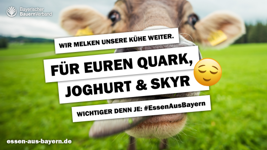 Essen aus Bayern Milch