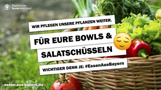 Für eure Bowls und Salatschüsseln