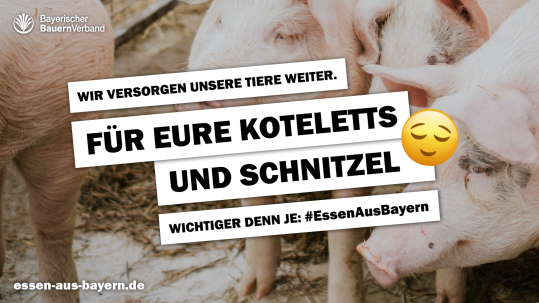 Essen aus Bayern Schwein