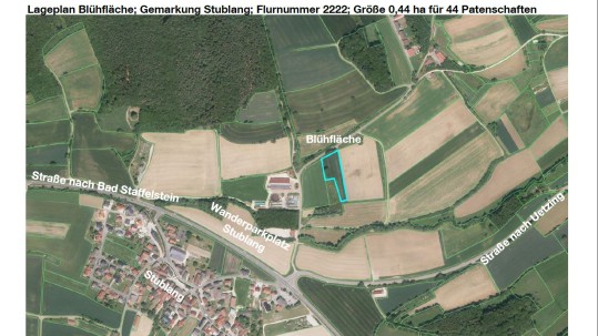 2020-04-30 Lage der Fläche
