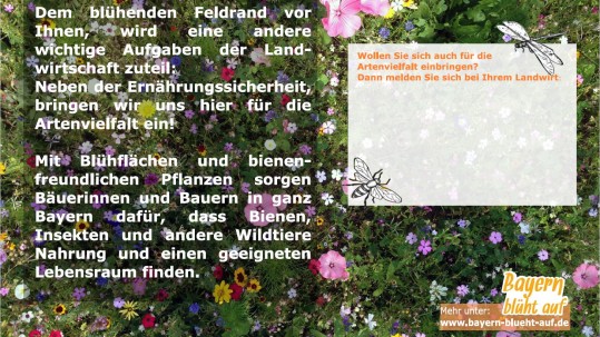 Feldrandschild Blühstreifen