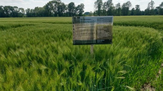 Schild im Feld