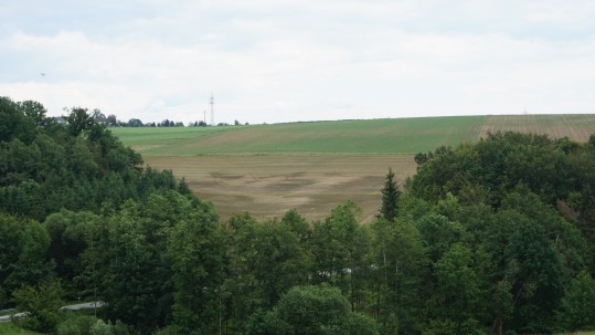 Schäden