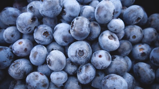 Blaubeeren sind im Sommer in Saison - und super für Marmeladen geeignet