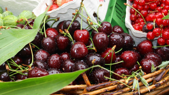 Beeren im Sommer sind toll für Konfitüren