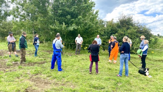 2020-07-17 Arbeitsbesprechung Kreuzkraut Arbeitsbesprechung Kreuzkraut