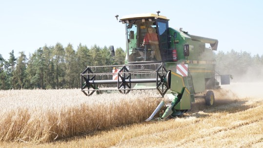 Mähdrescher bei der Ernte