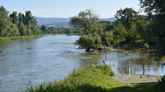 Isar Isar im Isarmündungsgebiet