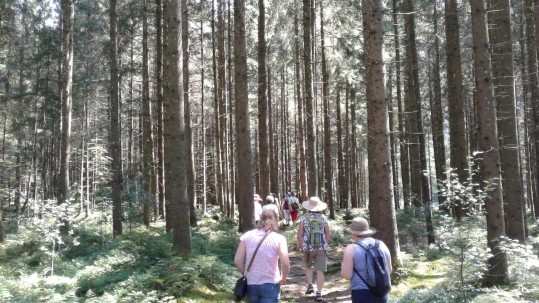 Samerberger Landwirtschaftsweg Talrunde