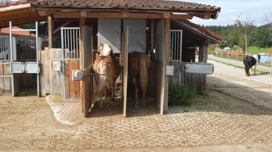 Futterstellen Blaslhof