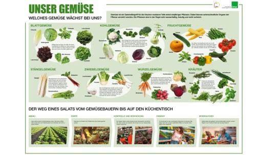 Das neue Gemüse-Poster der i.m.a.