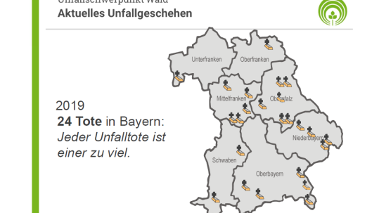 2020-10-27 Waldunfälle 2019