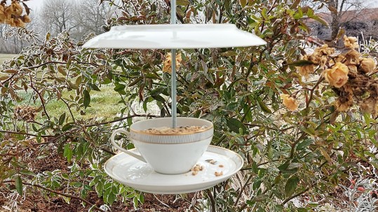 Das fertige Vogelhaus aus Porzellan mit Futter für Vögel