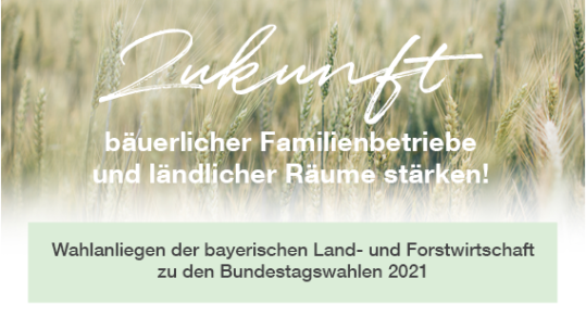 Wahlanliegen Bundestagswahl 2021 Wahlanliegen Bundestagswahl 2021