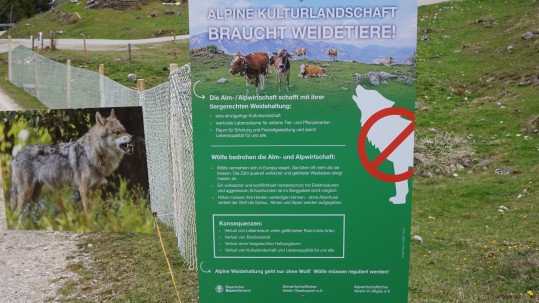 Plakat Kulturlandschaft und Wolf