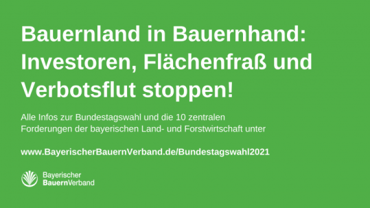 Sharepics zu den 10 Forderungen