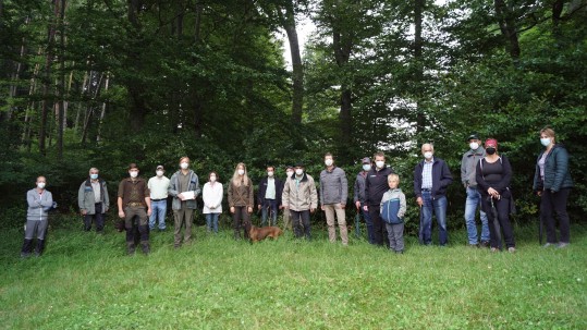 Waldbegehung Waldbegehung
