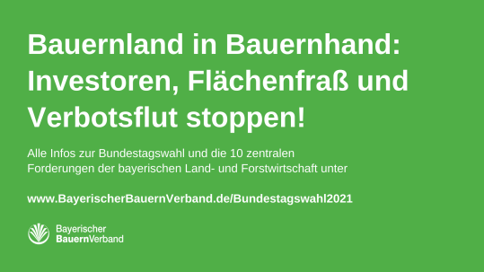 Share-Pic BBV Share-Pic BBV