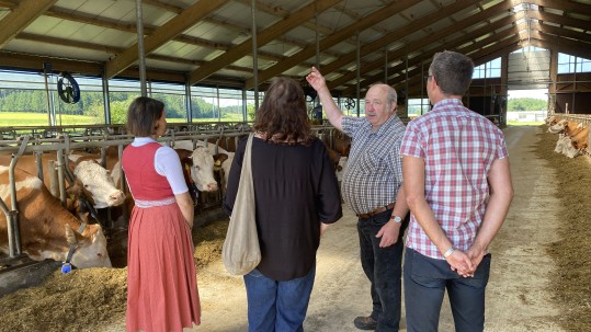 Stallführung Betrieb Sedlmair Stallführung Betrieb Sedlmair