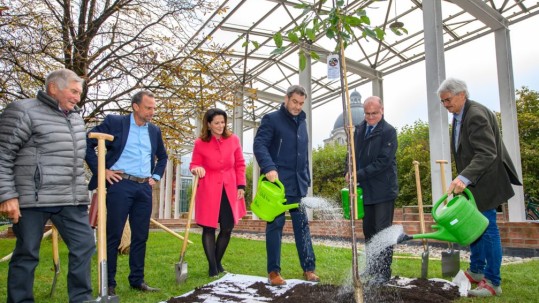 Streuobstpakt: Obstbaum im Hofgarten gepflanzt