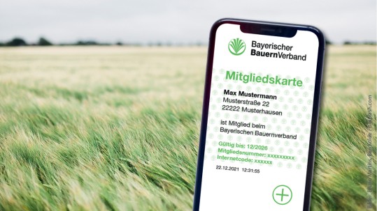 Mitgliedskarte in der App