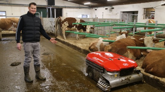 Stallreinigung Stallreinigung