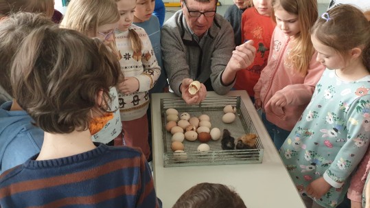 Landfrauen machen Schule