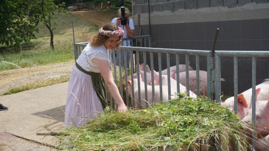 2022-06-20_Biokönigin füttert Bioschweine 2022-06-20_Biokönigin füttert Bioschweine