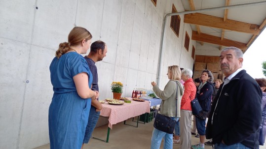Buffet mit Gurken