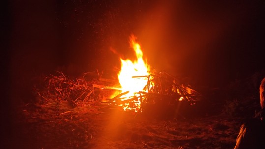 Mahnfeuer gegen die ungezügelte Vermehrung von Wölfen