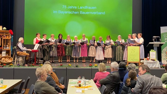 Donauwaldsängerinnen