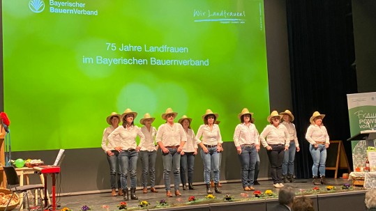 Line Dance Aufführung der Landfrauen