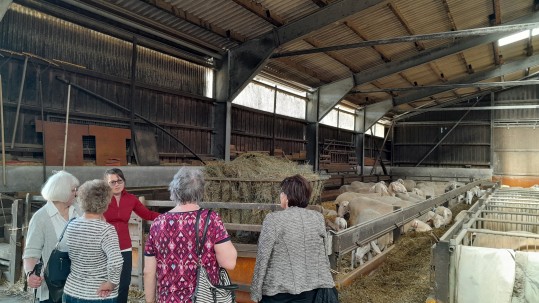 Besichtigung Schafhof Wunderlich