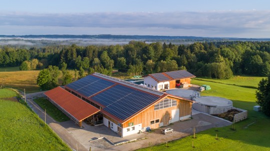 Kuhstall mit Photovoltaik auf dem Dach von oben