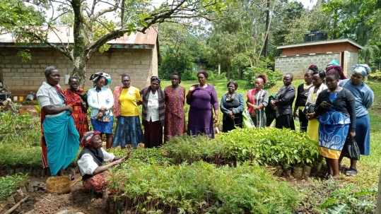 Kenia-Projekt Landfrauen Kenia-Projekt Landfrauen