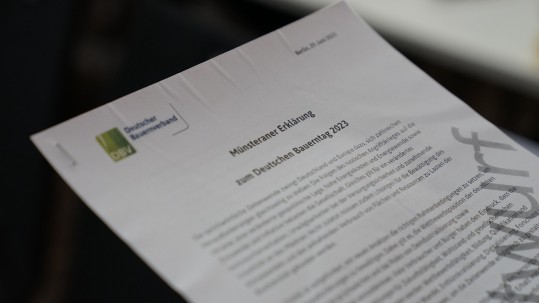 Entwurf der Münsteraner Erklärung