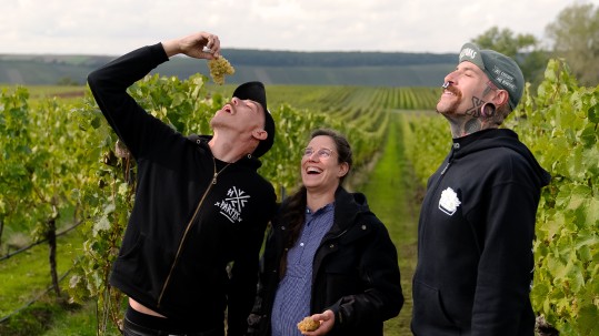 Drei Personen im Weinfeld