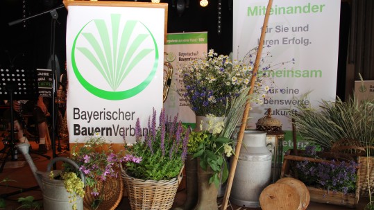 Deko am Bauerntag