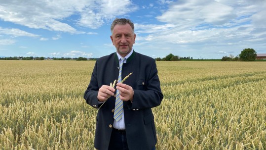 PS Felßner im Getreidefeld