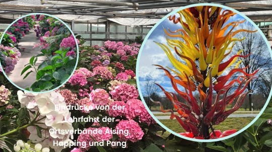 Eindrücke