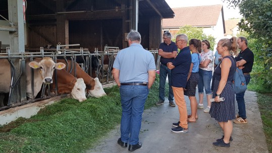 Gruppe im Stall Gruppe im Stall