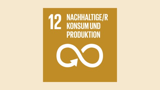 Nachhaltige/r Konsum und Produktion Nachhaltige/r Konsum und Produktion