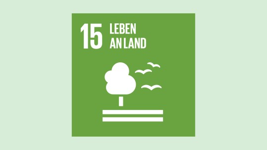 Leben an Land Leben an Land