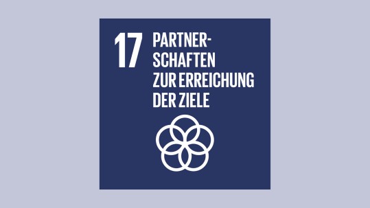 Partnerschaften zur Erreichung der Ziele Partnerschaften zur Erreichung der Ziele