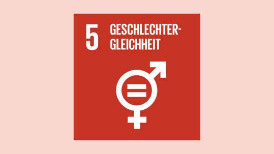 Geschlechtergleichheit Geschlechtergleichheit