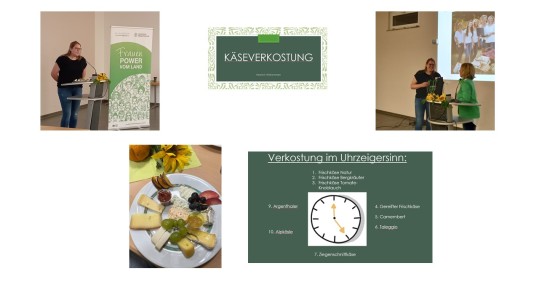 Käseverkostung Käseverkostung