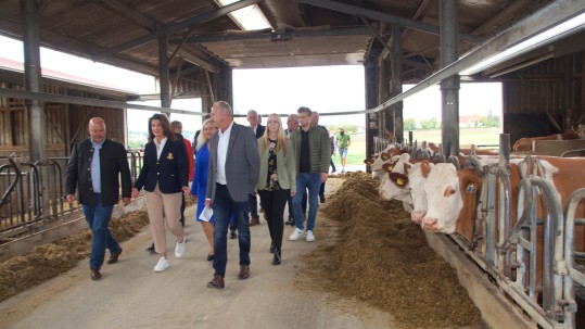 Stallbesichtigung Stallbesichtigung