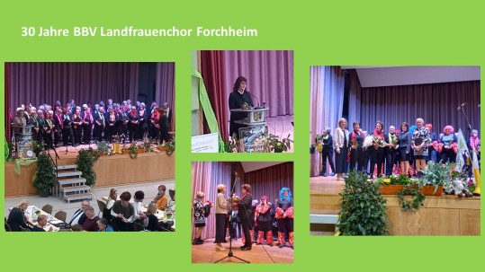 Landfrauentag Forchheim 2024 - Collage 4