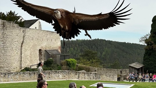 Landfrauenausflug Falkenschau