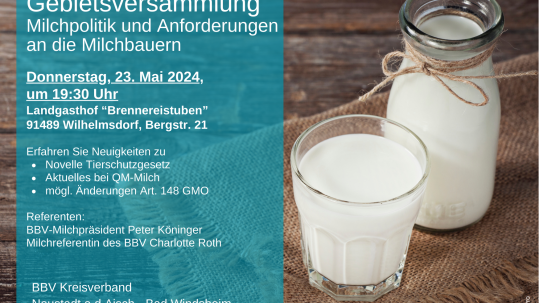 Gebietsversammlung 23.05.2024 KV NEA-BW